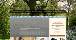 Desktop Screenshot of burg-schlitz.de